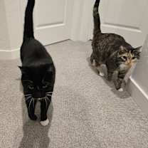 Thumbnail photo of Calli #3