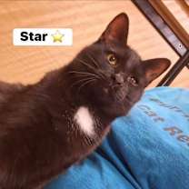 Thumbnail photo of Star #4