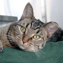 Thumbnail photo of Rain #1