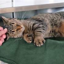 Thumbnail photo of Rain #2