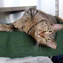 Thumbnail photo of Rain #3