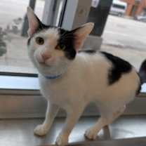 Thumbnail photo of Walter #2