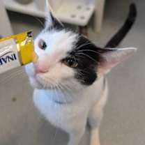 Thumbnail photo of Walter #3