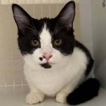 Thumbnail photo of Somewhere In The Crowd #1