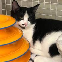 Thumbnail photo of Somewhere In The Crowd #2