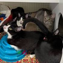 Thumbnail photo of Somewhere In The Crowd #3