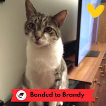 Thumbnail photo of Wall-e #1