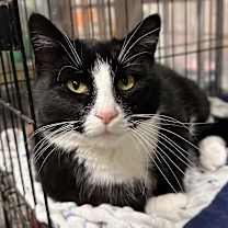 Thumbnail photo of Heaven #2