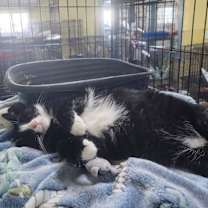 Thumbnail photo of Heaven #3