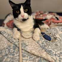 Thumbnail photo of Milton #2