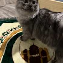 Thumbnail photo of Fiji #1