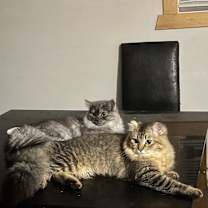 Thumbnail photo of Fiji #2