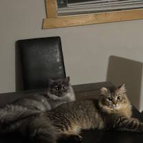 Thumbnail photo of Fiji #3