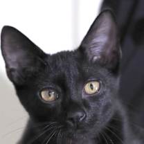 Thumbnail photo of TAKODA BALDWIN #2