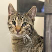 Thumbnail photo of Winnie #1