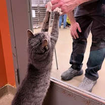 Thumbnail photo of Junior #2