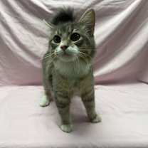 Thumbnail photo of Winter #1