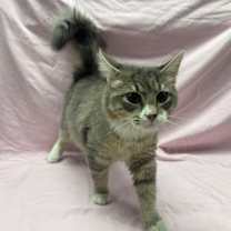 Thumbnail photo of Winter #2