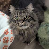 Thumbnail photo of Tripp #1