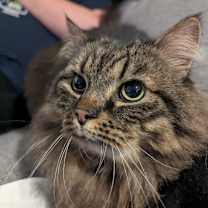 Thumbnail photo of Tripp #2