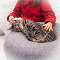 Thumbnail photo of Mocha #2