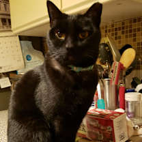 Thumbnail photo of Mr Two #4