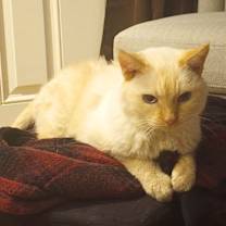 Thumbnail photo of Sunny #3