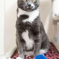 Thumbnail photo of Flo #1