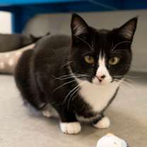 Thumbnail photo of Ocean #2