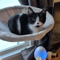 Thumbnail photo of Butter #1