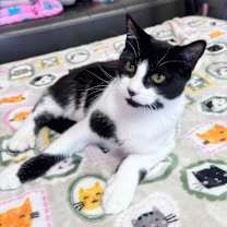 Thumbnail photo of Mikey #1