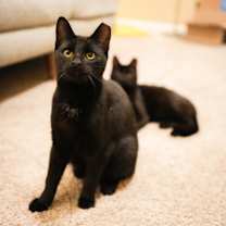 Thumbnail photo of Dennis #1