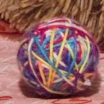 Thumbnail photo of Chunk Norris #2