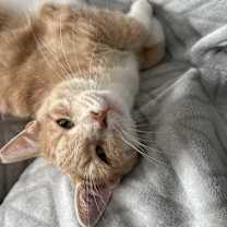 Thumbnail photo of Sergio #2