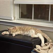 Thumbnail photo of Sergio #3