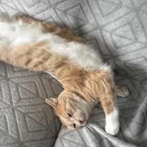 Thumbnail photo of Sergio #4