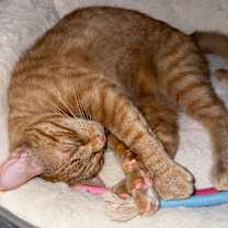 Thumbnail photo of Mike #2