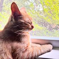 Thumbnail photo of Mike #4