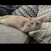 Thumbnail photo of Todd #1