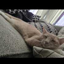 Thumbnail photo of Todd #2