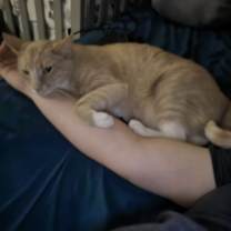 Thumbnail photo of Todd #3