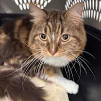 Thumbnail photo of Timothy #1