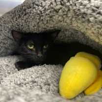 Thumbnail photo of Beauty #1