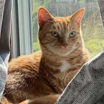 Thumbnail photo of Jacob #1