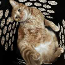 Thumbnail photo of Jacob #3