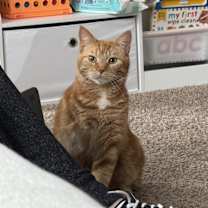 Thumbnail photo of Jacob #4