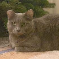 Thumbnail photo of Charlotte #1