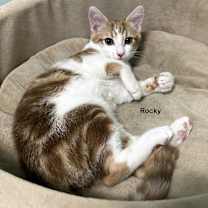 Thumbnail photo of Raina #2