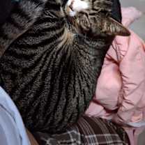 Thumbnail photo of Moldy #2