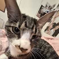 Thumbnail photo of Moldy #1